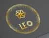 Leo promotion